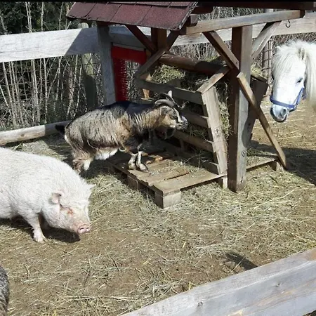 Biohof Laibacher * 滨湖施图本贝格