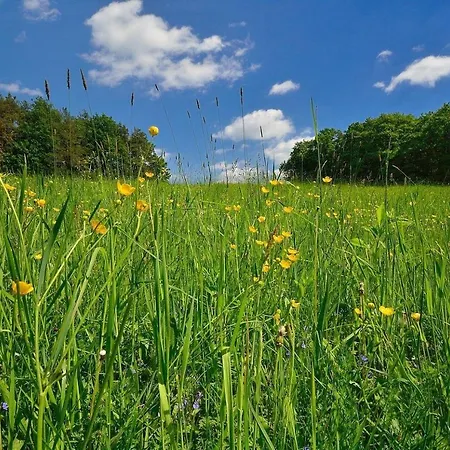 公寓 Biohof Laibacher *