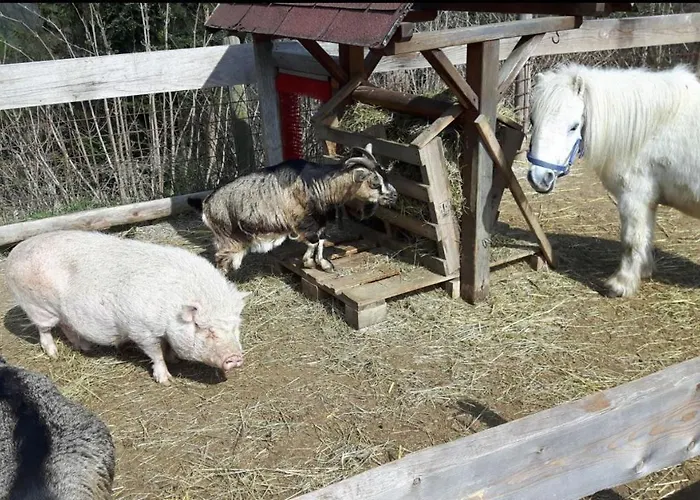 Biohof Laibacher * Stubenberg