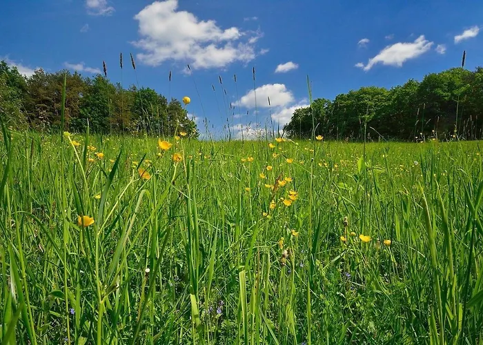 Apartment Biohof Laibacher *